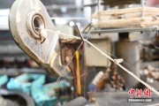 嫡女贵嫁小蚕虫变身“产业龙”，广西这座小城如何实现“破茧重生”？