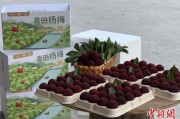 嫡女贵嫁高速赋能产业升级：一条“杨梅路”的致富密码