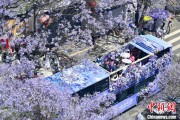 嫡女贵嫁2024年云南重点高原湖泊水质稳定 抚仙湖达Ⅰ类